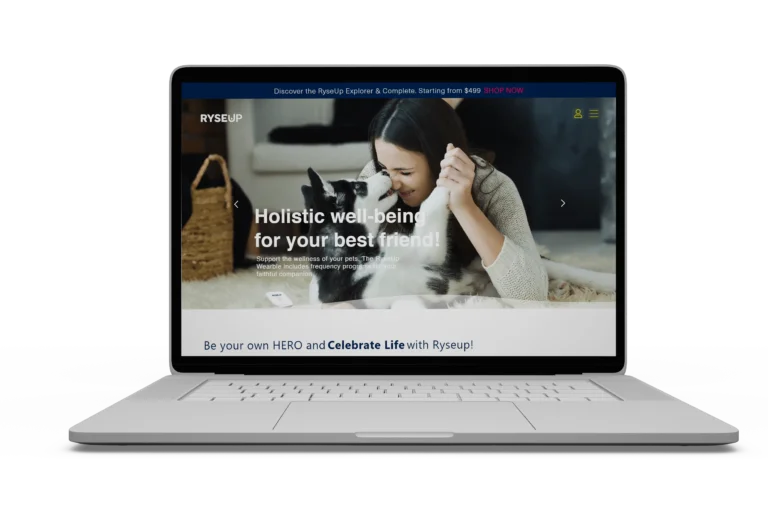 rsz_laptop_webite-min-768x512
